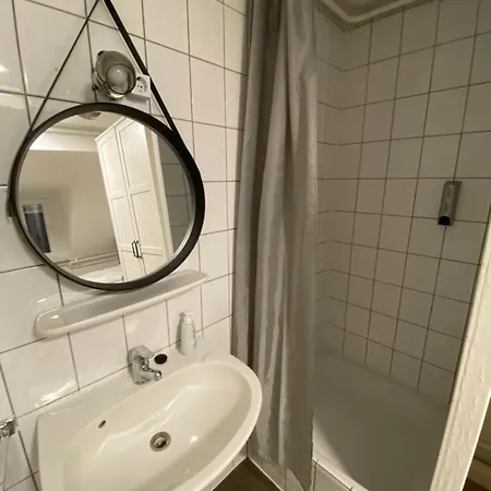 Swan Guest house *