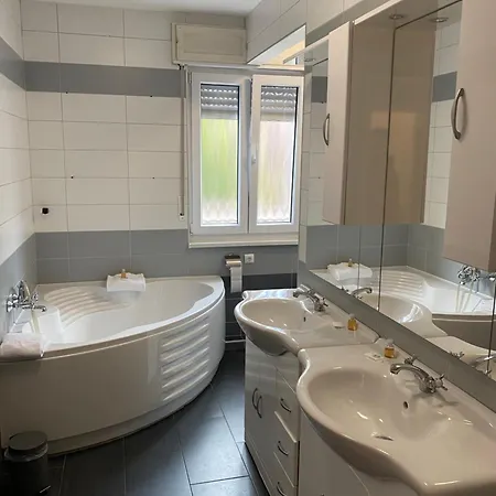 Swan Guest house *
