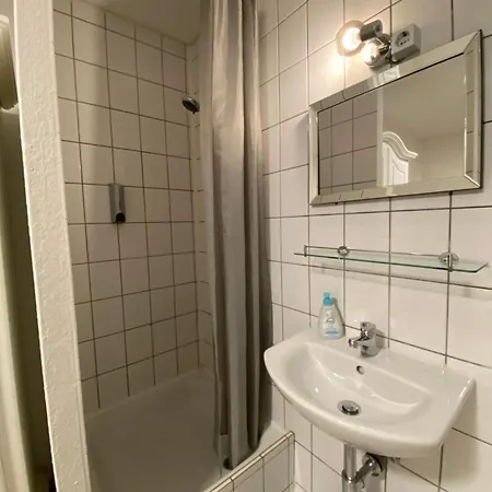 Guest house Swan