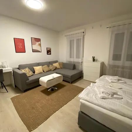 Swan Guest house