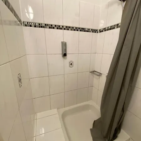 Swan Guest house *